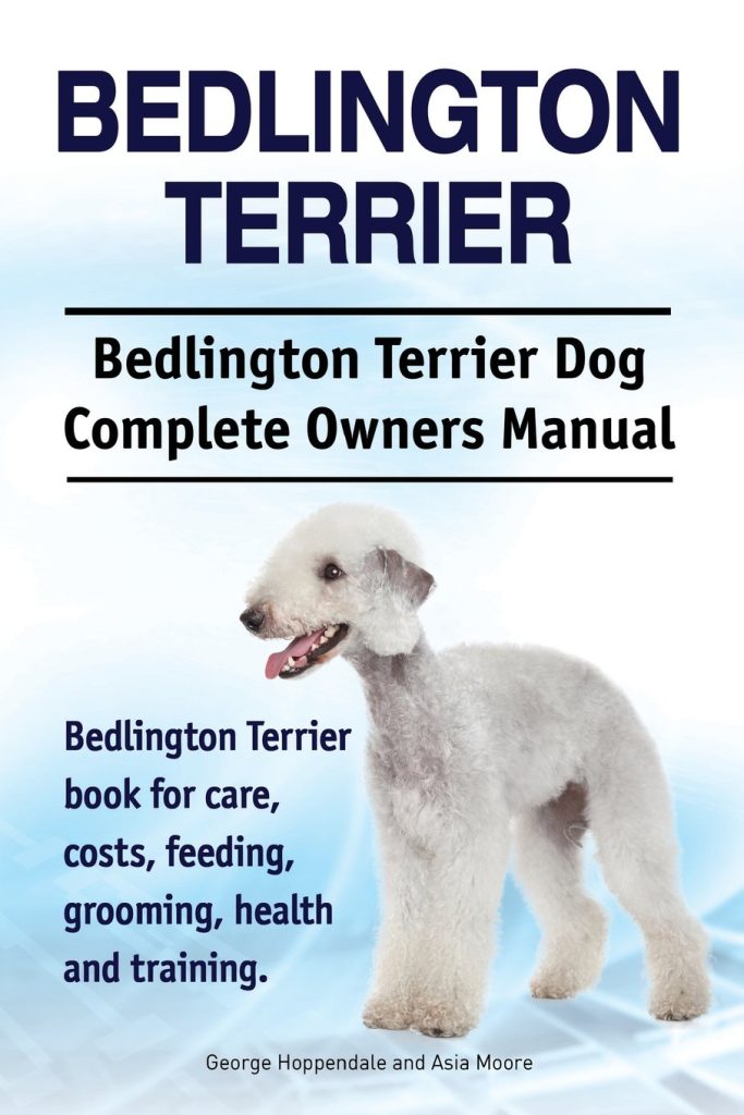 Bedlington Terrier. Bedlington Terrier Dog Complete Owners Manual