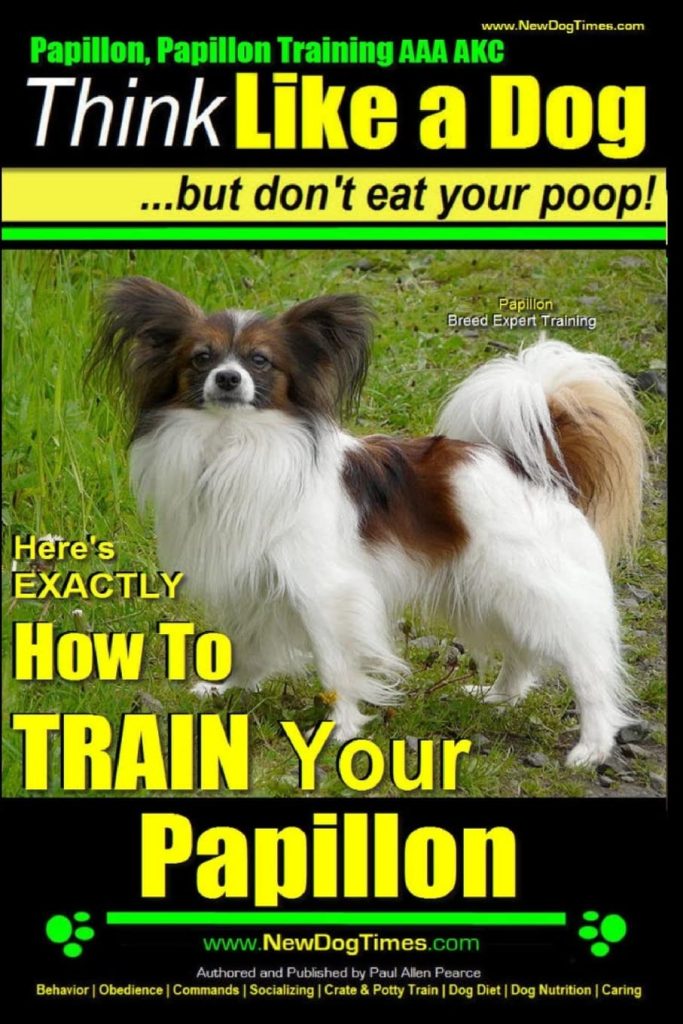 Papillon, Papillon Training AAA AKC: Think Like a Dog, but Don’t Eat Your Poop! | Papillon Breed Expert Training |: Here’s EXACTLY How to Train Your Papillon