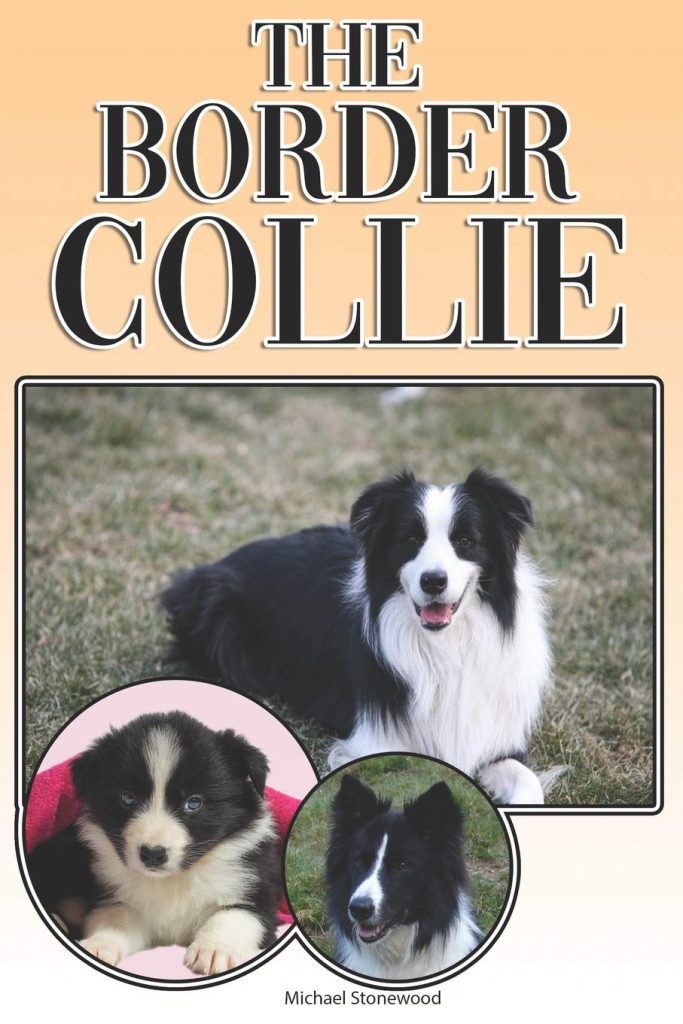 The Border Collie: A Complete and Comprehensive Owners Guide to: Buying, Owning, Health, Grooming, Training, Obedience, Understanding and Caring for Your Border Collie