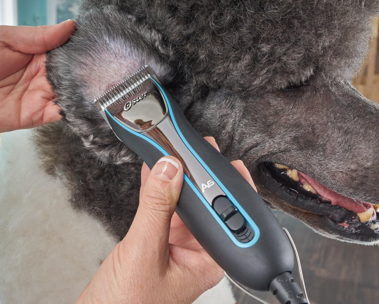 Oster A6 Cool Comfort Heavy Duty Pet Grooming Clippers
