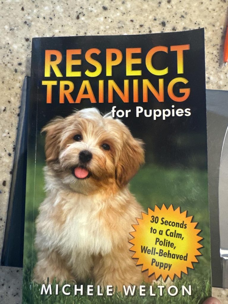 Respect Training for Puppies: 30 Seconds to a Calm, Polite, Well-Behaved Puppy