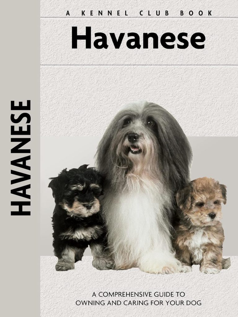 Havanese (Comprehensive Owner's Guide)