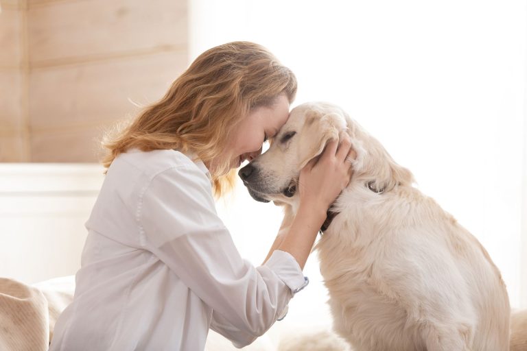 Dog Health Insurance Cost for Dog Owners and Dog Groomers