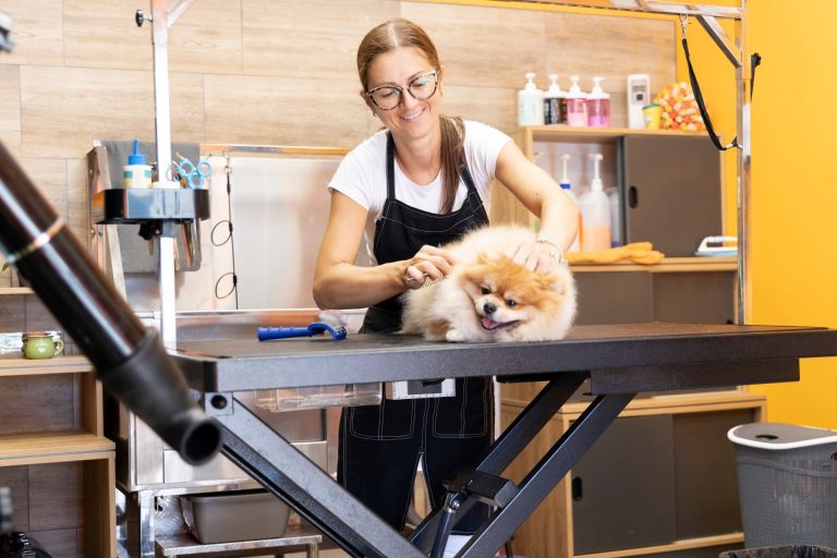 Education Options for Dog Groomers & Pet Business Managers