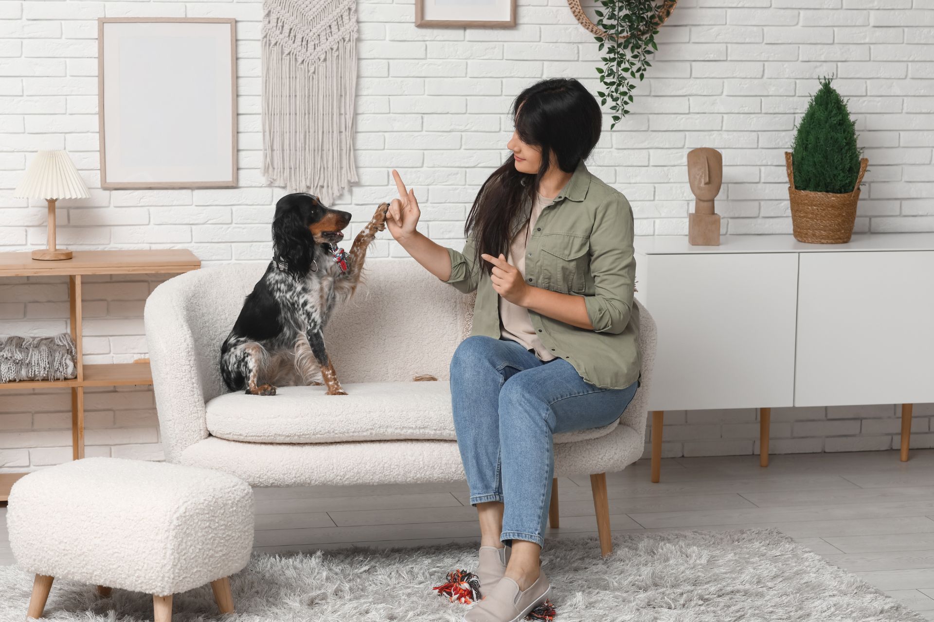 How to Be a Great Pet Parent - Making Your Dog Feel at Home