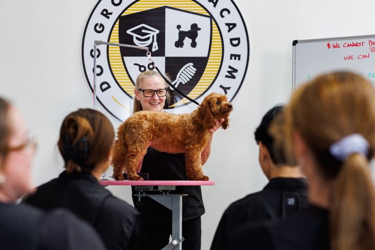 Interview with WA Dog Grooming & Clipping Academy