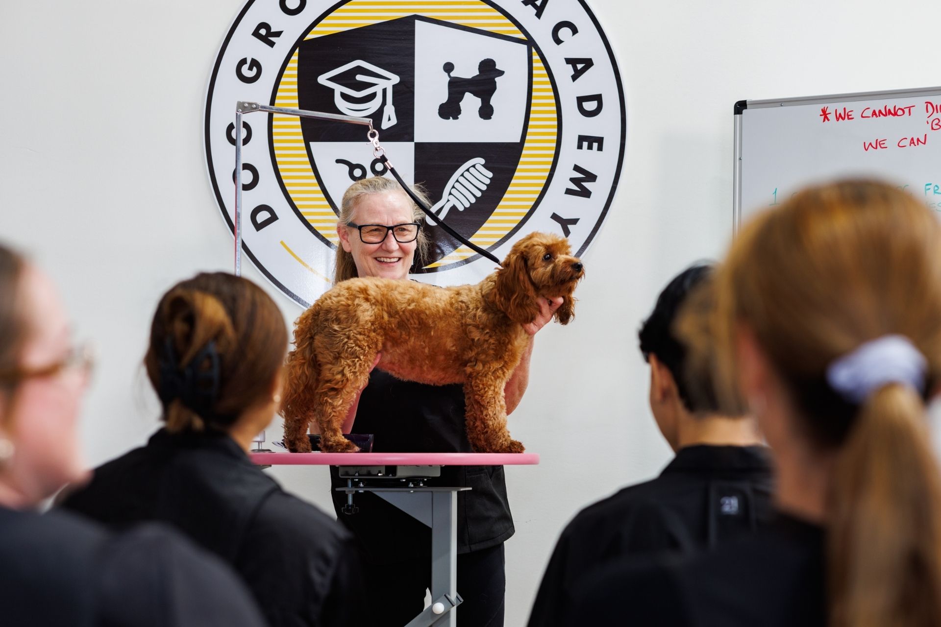 Interview with WA Dog Grooming & Clipping Academy