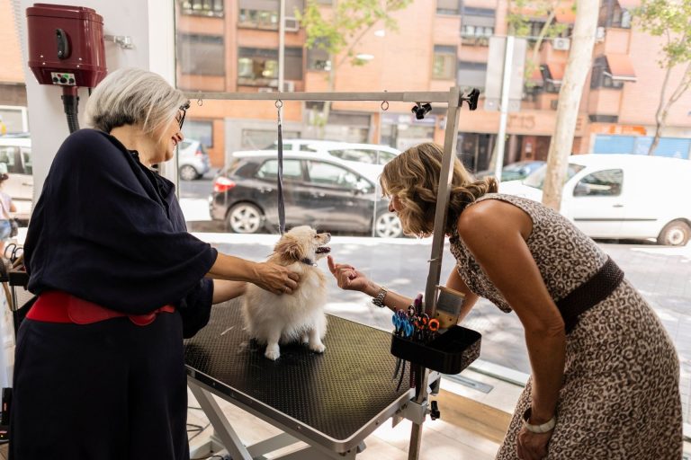 Interview with the Salon Owner from Fur Creations Dog Grooming