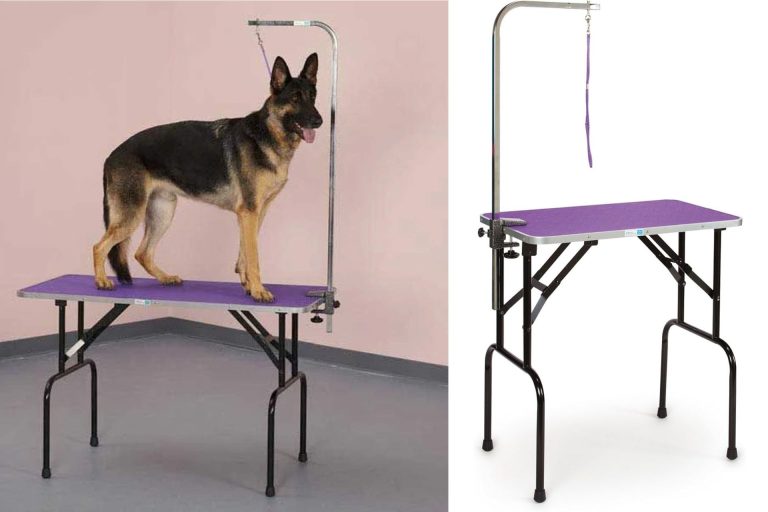 Portable Dog Grooming Table by Master Equipment: A Top Table