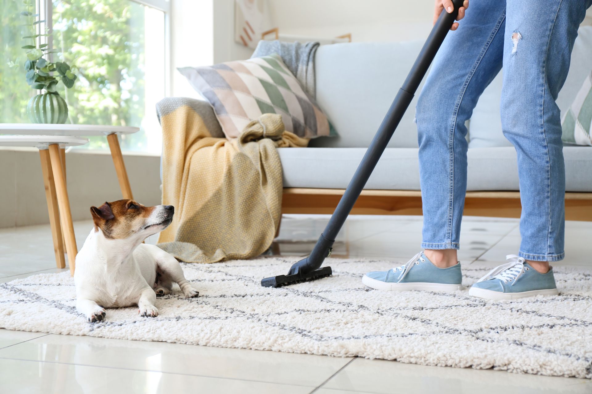 Vacuum Cleaners for Pet Hair: A Dog Shedding Solution